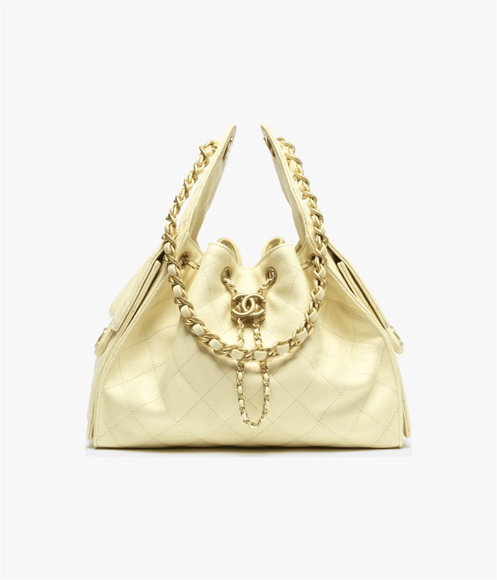 CHANEL 25 Small Handbag