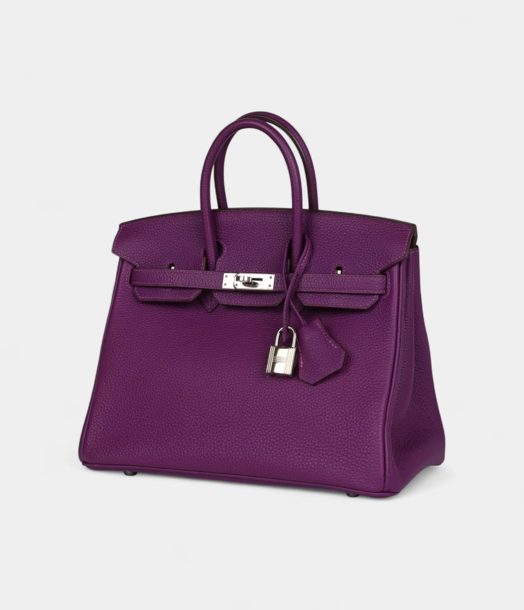 Hermès Birkin 25 Anemone Togo Palladium Hardware