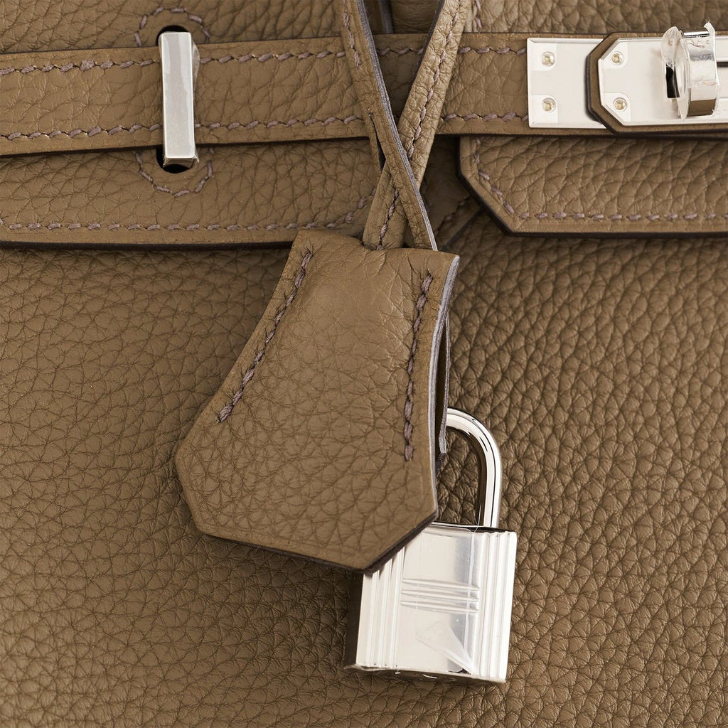 Hermès Birkin 25 Togo Toundra Palladium Hardware